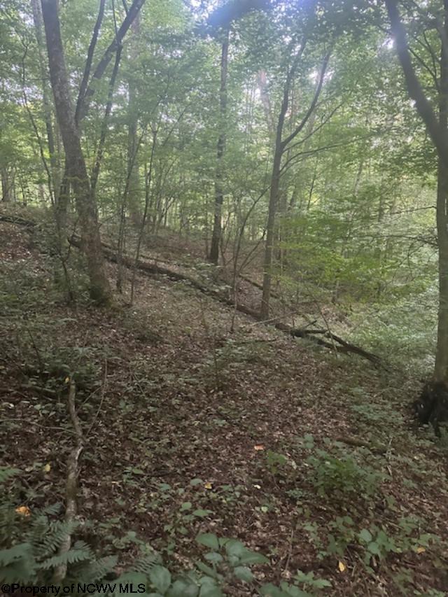 TBD Creed Isner Road, Kerens, WV 26276