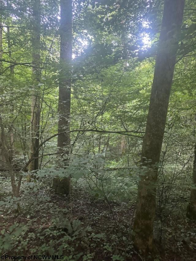 TBD Creed Isner Road, Kerens, WV 26276