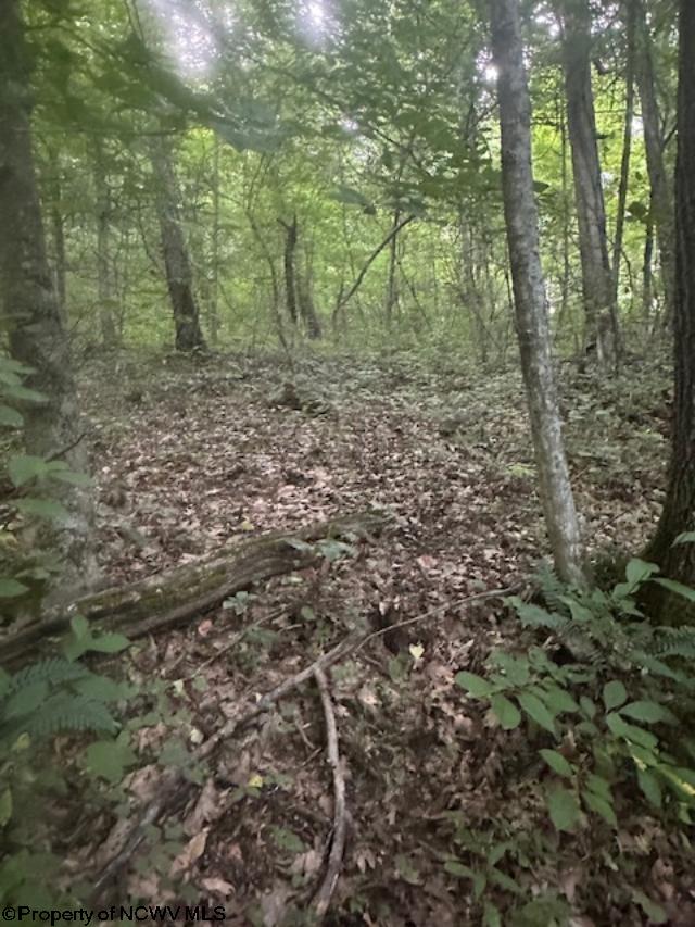 TBD Creed Isner Road, Kerens, WV 26276