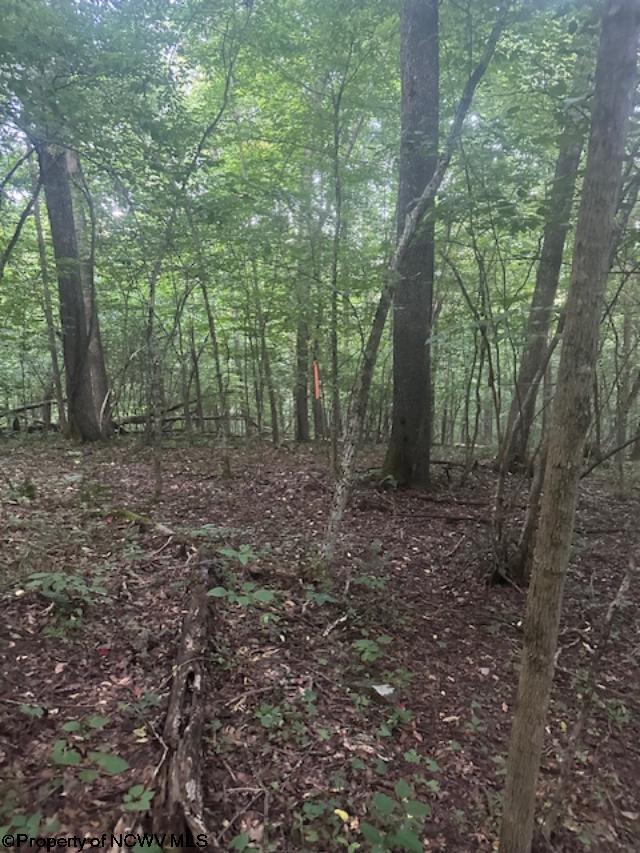TBD Creed Isner Road, Kerens, WV 26276