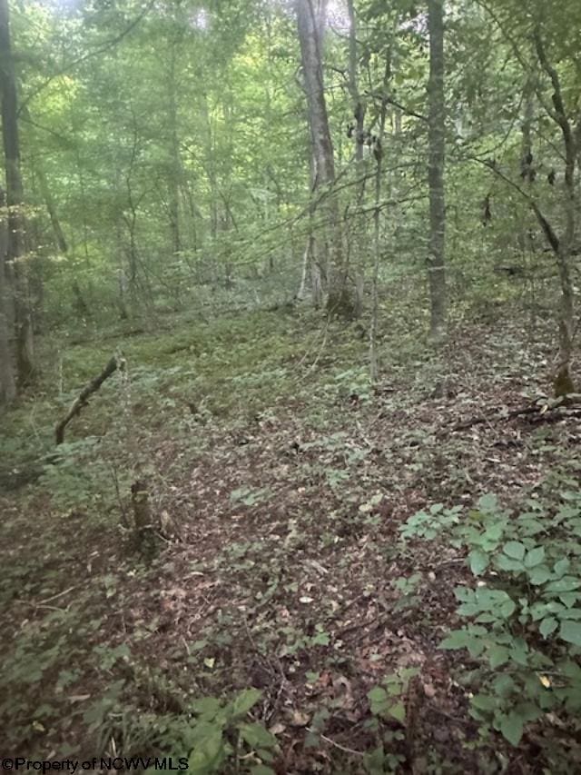 TBD Creed Isner Road, Kerens, WV 26276