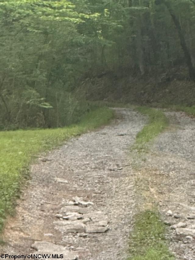 TBD Creed Isner Road, Kerens, WV 26276