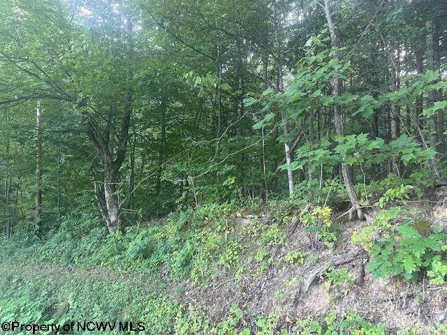 Listing photo 2 for TBD Creed Isner Road, Kerens WV 26276