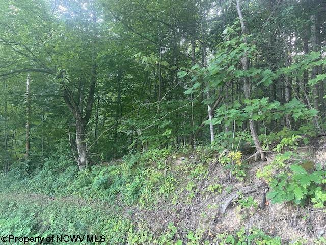 TBD Creed Isner Road, Kerens, WV 26276