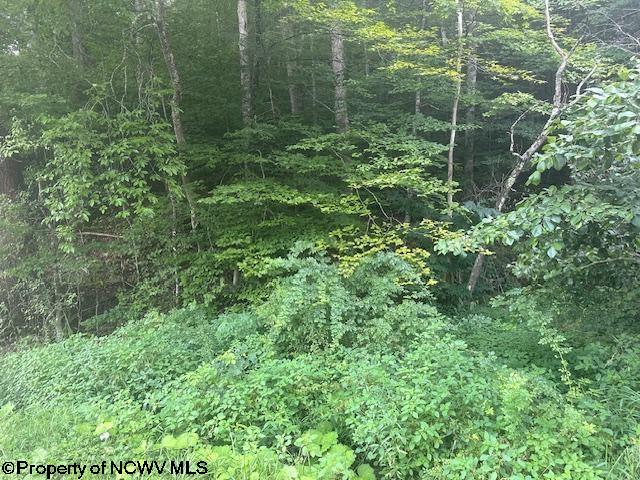 TBD Creed Isner Road, Kerens, WV 26276