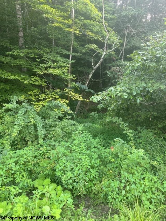 TBD Creed Isner Road, Kerens, WV 26276