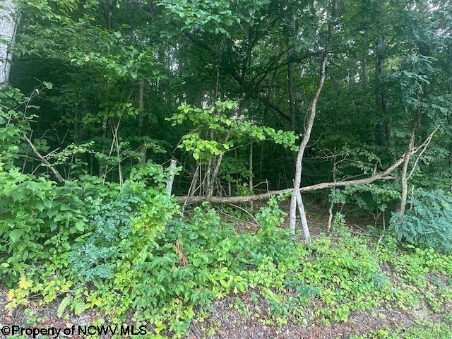 TBD Creed Isner Road, Kerens, WV 26276