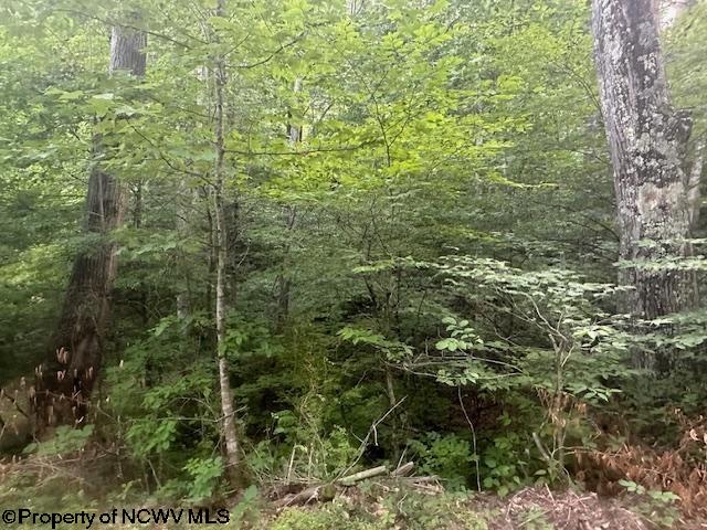 TBD Creed Isner Road, Kerens, WV 26276
