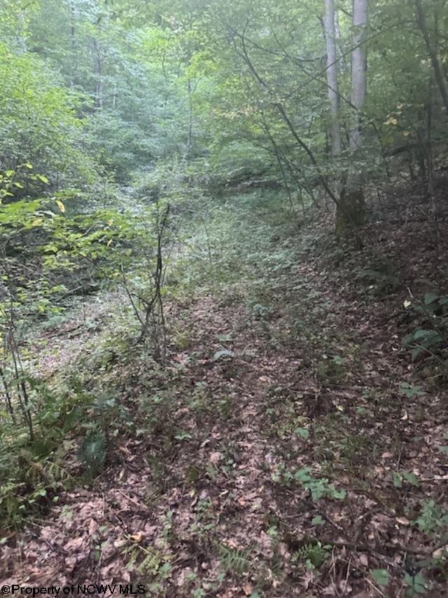 TBD Creed Isner Road, Kerens, WV 26276