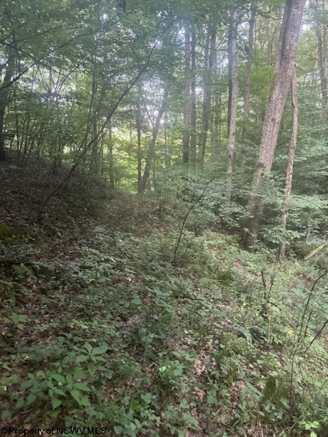 TBD Creed Isner Road, Kerens, WV 26276