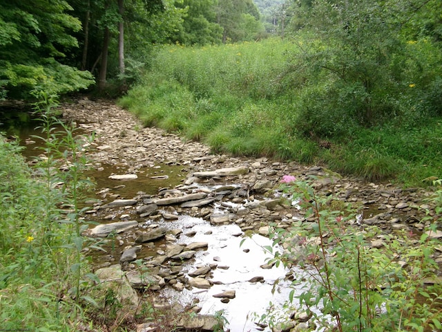 view of landscape