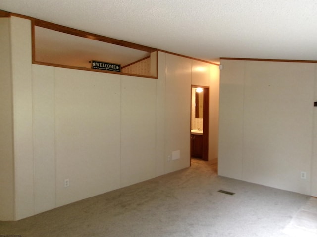 empty room with light carpet and a textured ceiling