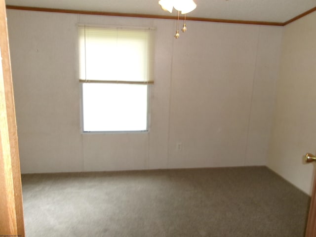 empty room featuring crown molding and carpet floors