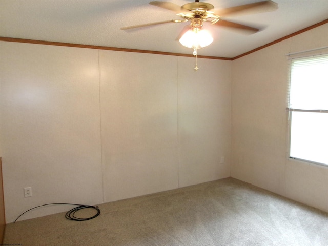 empty room featuring a wealth of natural light, ornamental molding, ceiling fan, and carpet