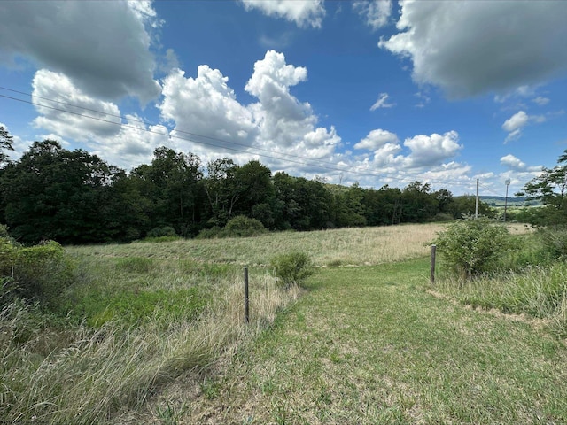 TBD Cuzzart Rd, Bruceton Mills WV, 26525 land for sale