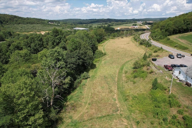 Listing photo 3 for TBD Cuzzart Rd, Bruceton Mills WV 26525