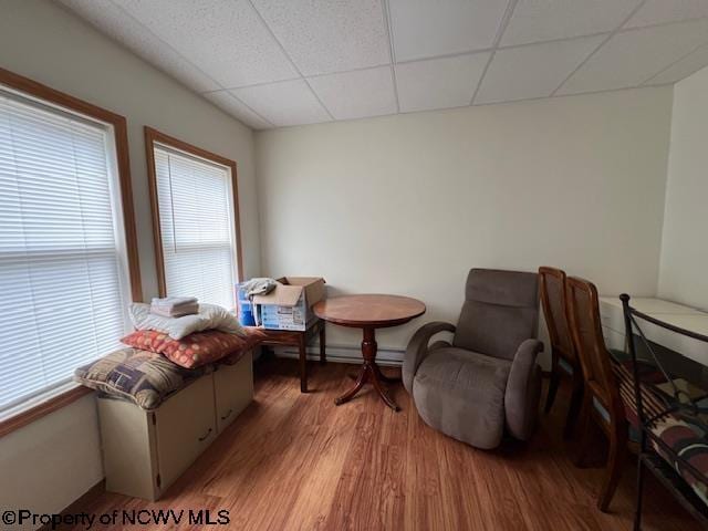 sitting room featuring a drop ceiling, light wood-type flooring, and a healthy amount of sunlight