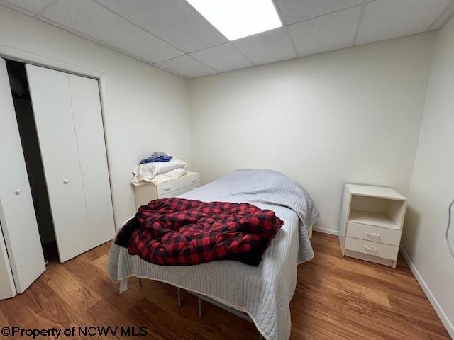 bedroom featuring a paneled ceiling, light wood-style floors, baseboards, and a closet