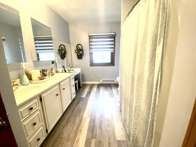 bathroom featuring vanity, wood-type flooring, and toilet