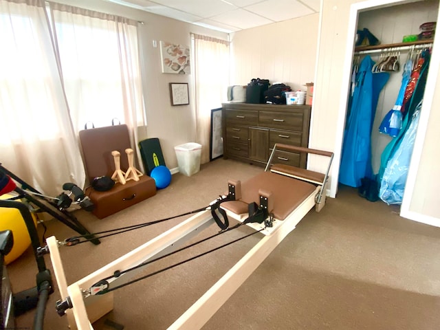 workout area featuring carpet and a drop ceiling