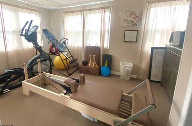 exercise room with a paneled ceiling and carpet flooring