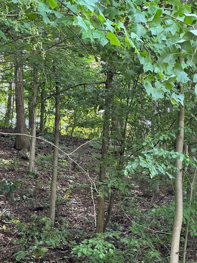 Listing photo 3 for LOT41 Falling Water Ln, Morgantown WV 26508