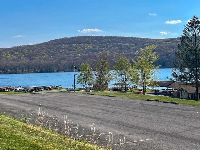 TBD Rhododendron Dr, Terra Alta, WV 26764