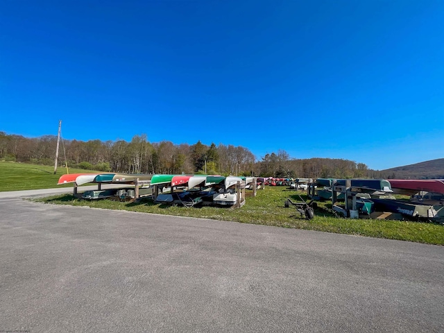 TBD Rhododendron Dr, Terra Alta, WV 26764