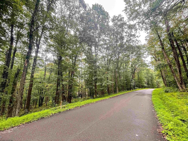 TBD Rhododendron Dr, Terra Alta, WV 26764