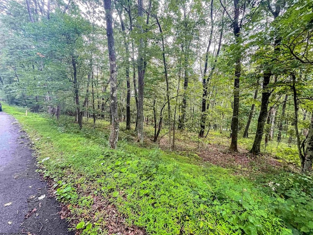 Listing photo 3 for TBD Rhododendron Dr, Terra Alta WV 26764