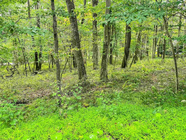 TBD Rhododendron Dr, Terra Alta, WV 26764