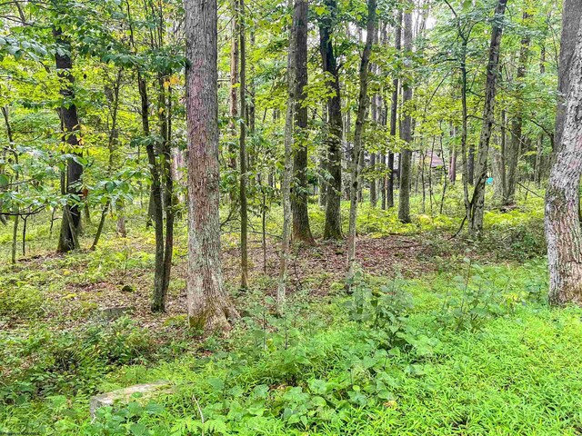 TBD Rhododendron Dr, Terra Alta, WV 26764