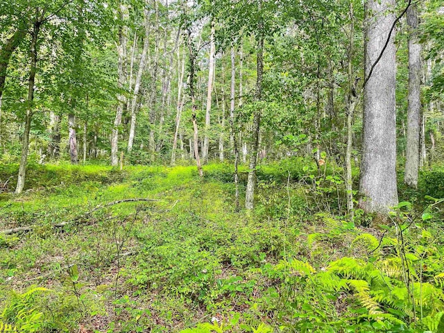 TBD Rhododendron Dr, Terra Alta, WV 26764