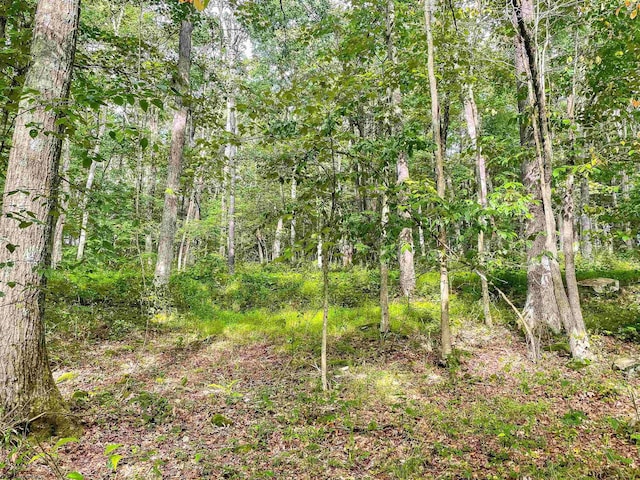 TBD Rhododendron Dr, Terra Alta, WV 26764