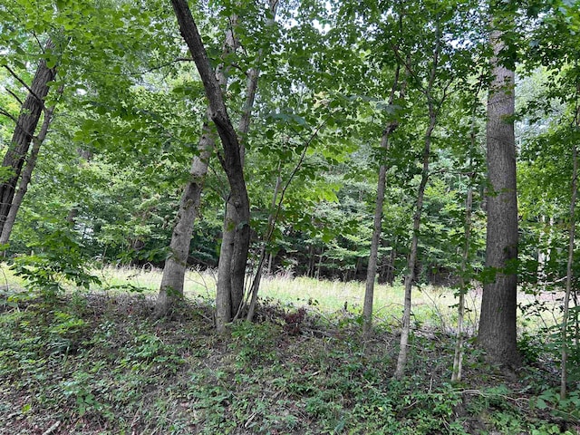 LOT4 E Run Cir, Four States WV, 26572 land for sale