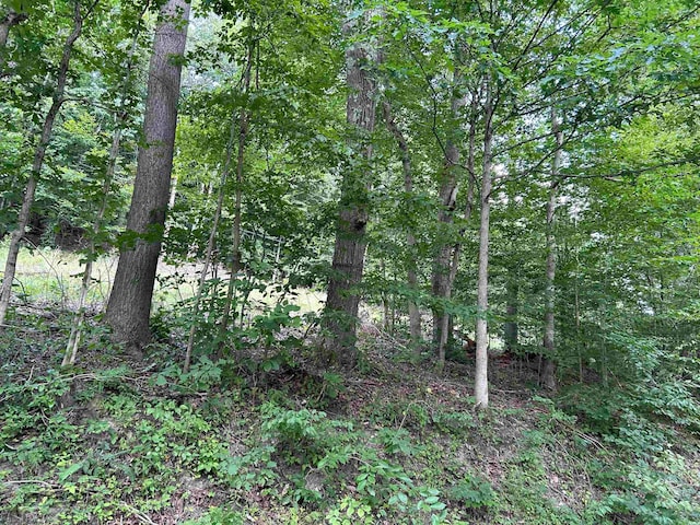 Listing photo 2 for LOT4 E Run Cir, Four States WV 26572