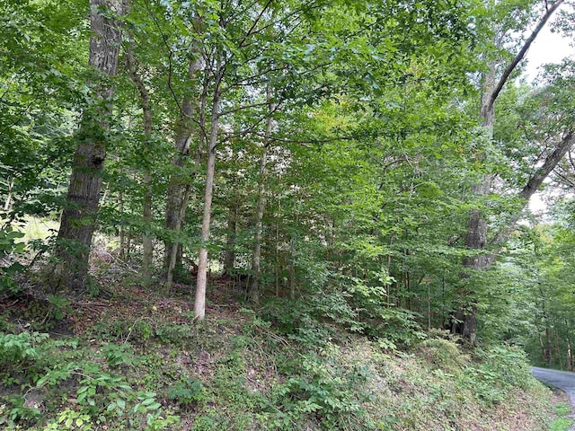 Listing photo 3 for LOT4 E Run Cir, Four States WV 26572