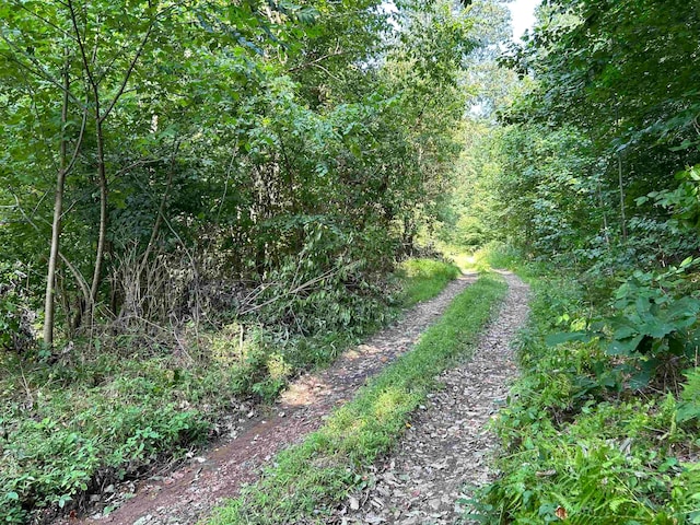 LOT3 E Run Cir, Four States WV, 26572 land for sale