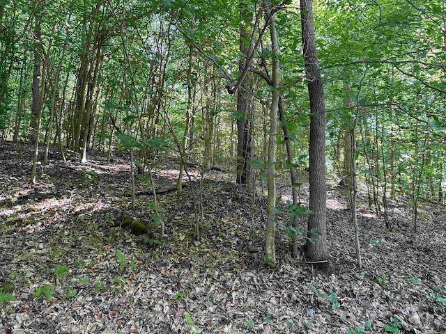 Listing photo 3 for LOT3 E Run Cir, Four States WV 26572