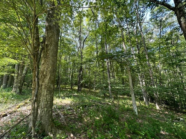 106 Lakeview Dr, Terra Alta, WV 26764