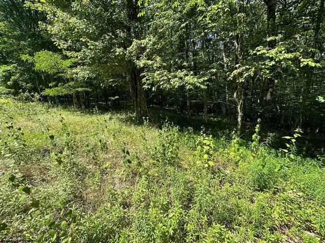 106 Lakeview Dr, Terra Alta, WV 26764