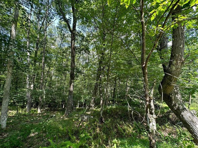 106 Lakeview Dr, Terra Alta, WV 26764