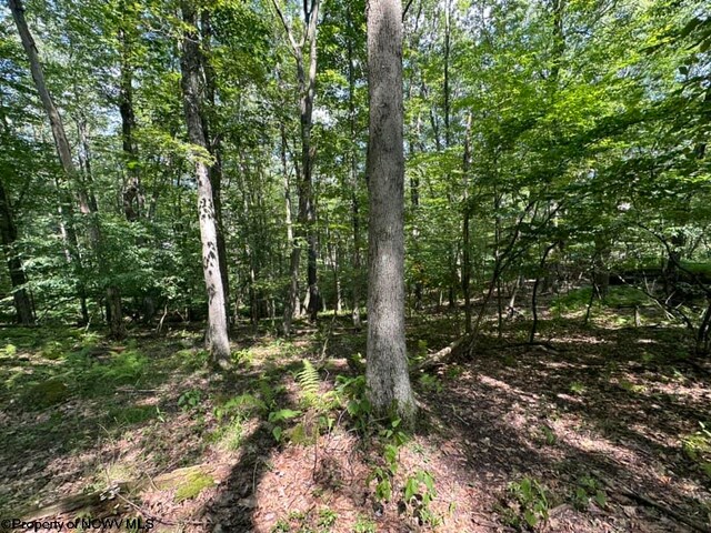 106 Lakeview Dr, Terra Alta, WV 26764