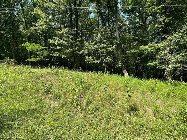 106 Lakeview Dr, Terra Alta, WV 26764