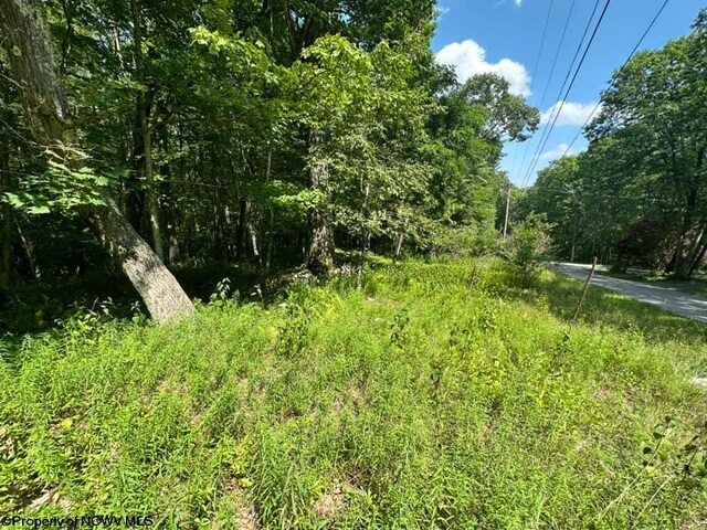 106 Lakeview Dr, Terra Alta, WV 26764