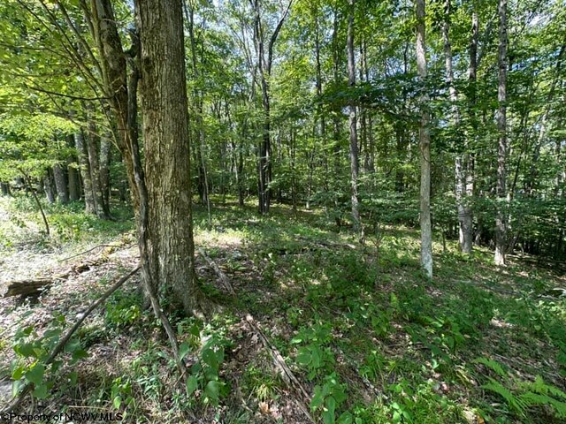 106 Lakeview Dr, Terra Alta, WV 26764