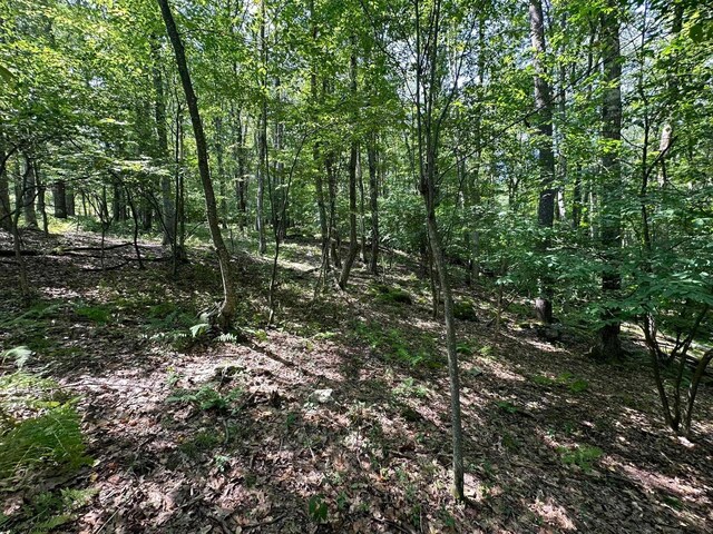 106 Lakeview Dr, Terra Alta, WV 26764