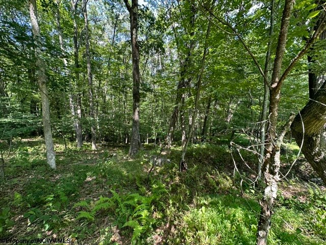 106 Lakeview Dr, Terra Alta, WV 26764
