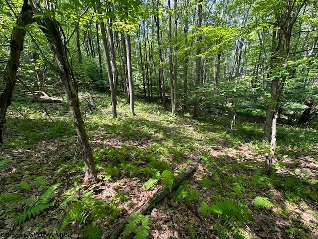 106 Lakeview Dr, Terra Alta, WV 26764