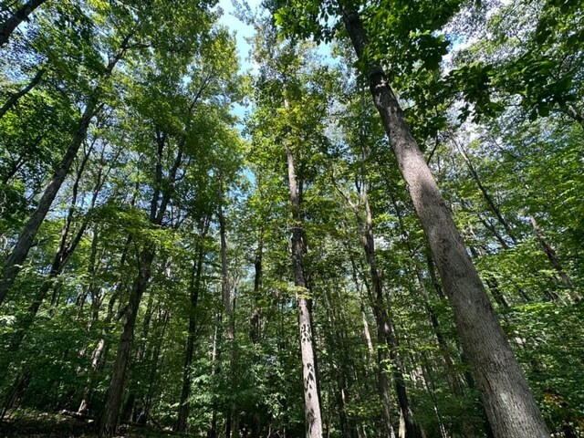 106 Lakeview Dr, Terra Alta, WV 26764
